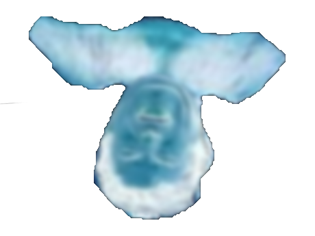 jesus moustache risitas negatissou