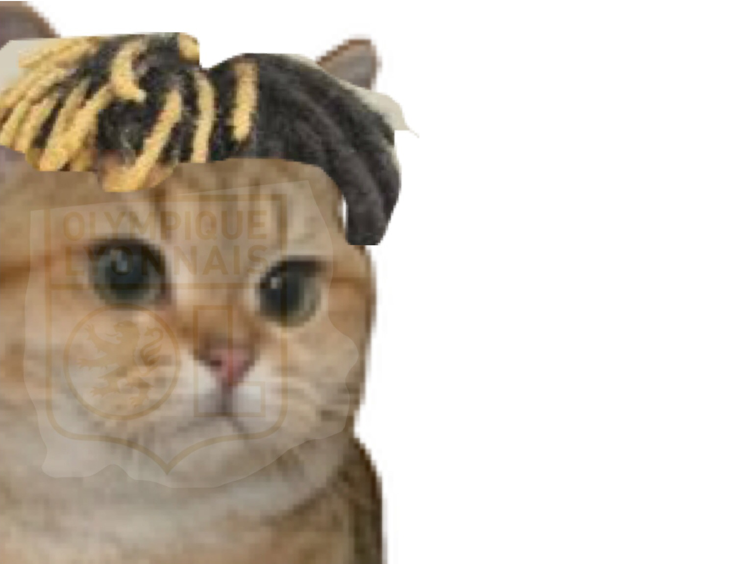 lyon xxtentacion jvc chat