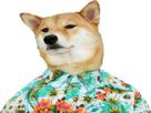 other-doge-shiba-dog-chemise-drole-chien