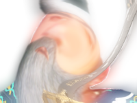 ottoman volsared caftan constantinople risitas milleti islam ekrivin turban kitsch turc soliman turk turquie