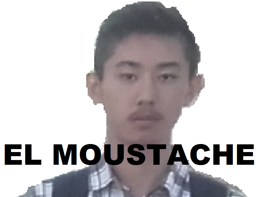 elite avn risitas avenoel irl