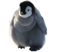 manchot-v2-risitas-pingouin-boule