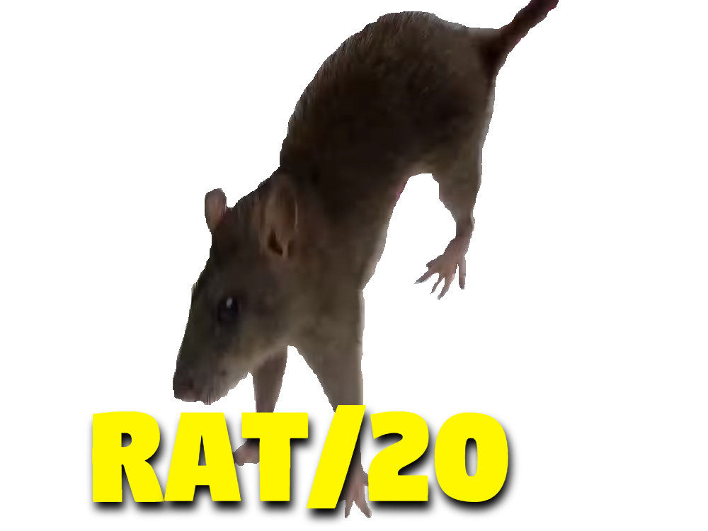 risitas pd homo gay tison lgbt rat