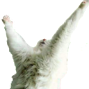 praise reversed chat sh4ntorian jvc