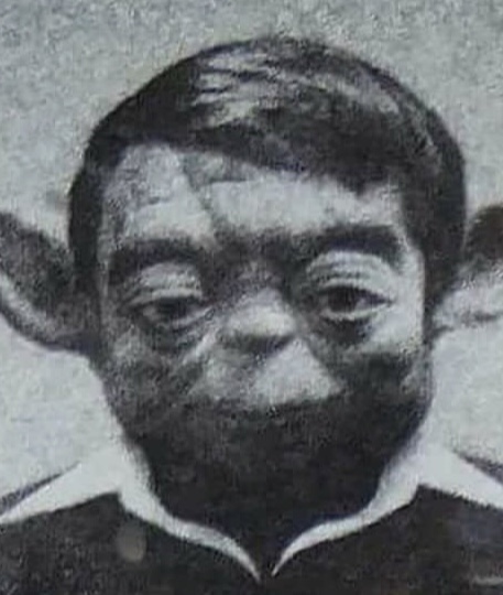 puceau issou yoda geek