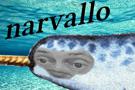 narvallo-mer-other-buscemi
