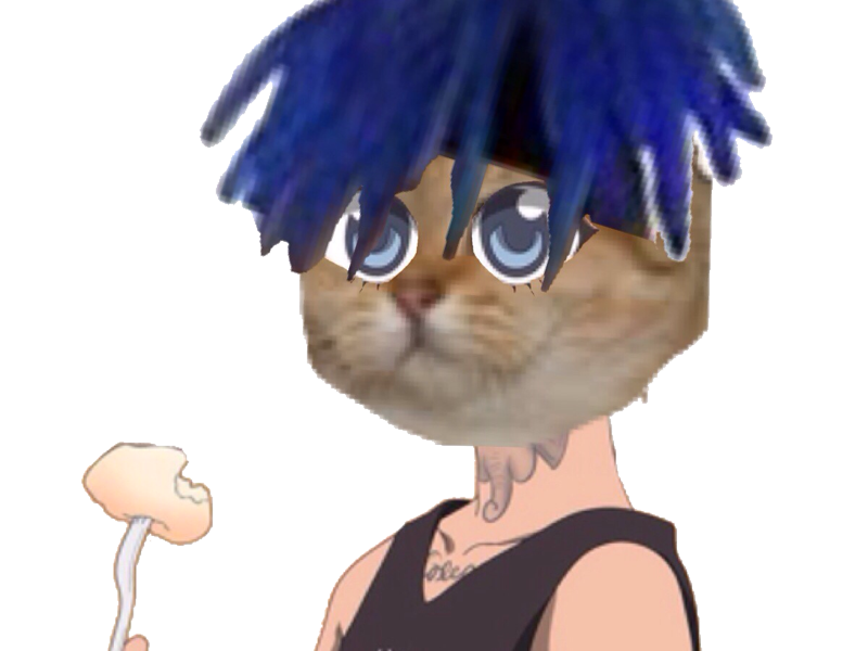 xxxtentacion dessin xxxcat