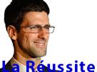 reussite-other-chatte-djokovic-silverstein-larry-tennis