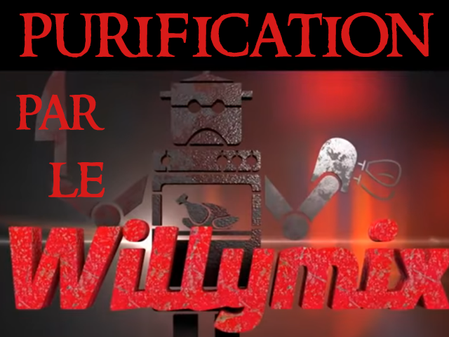 boyard willymix fort