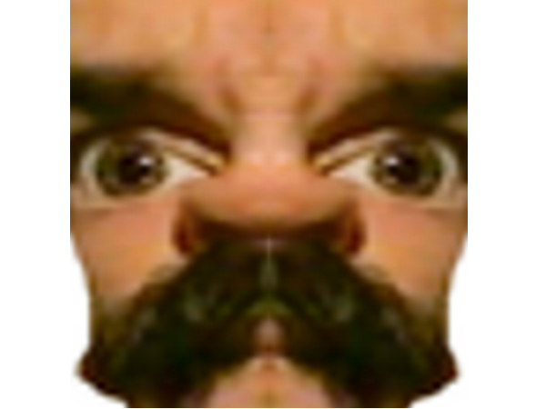 moche cyka etonne miroir risitas