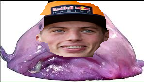 risitas f1 verstappen animal