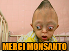 politic handicap monsanto malbouffe glyphosate orange ogm pesticide agent