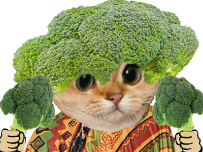 brocoli chat sodium