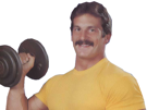bodybuilding-musculation-mentzer-mike-other-bodybuilder-muscule