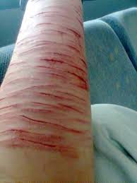 score jvc pute scare