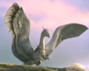 ailes-dragon-other-eragon-neo46378