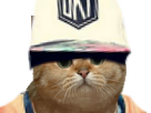booba-fusion-other-chat-casquette