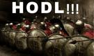 hold-bitcoin-hodl-sparta-btc-sparte-blockchain-jvc