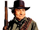 ouest-bandit-fusil-pistolet-conquete-jesus-revolver-risitas-cowboy-flingue-western-chapeau-malfrat