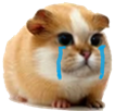 hamster-png-chamster-risitas-chat