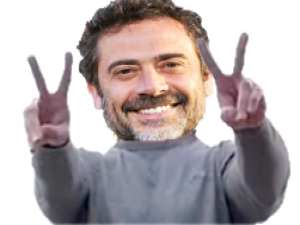 qlf negan risitas pnl