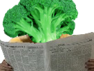 journal-other-colis-mon-bro-legume-news-brocoli