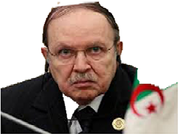 boutef politic zehef qlf dz