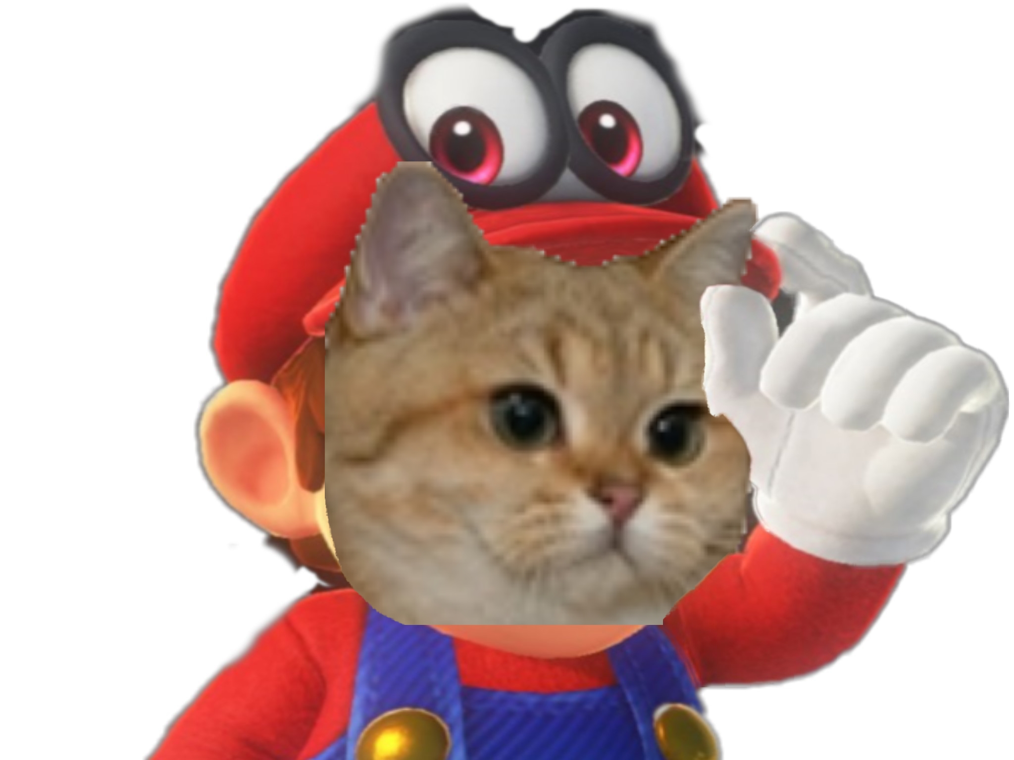 chat cat mario risitas