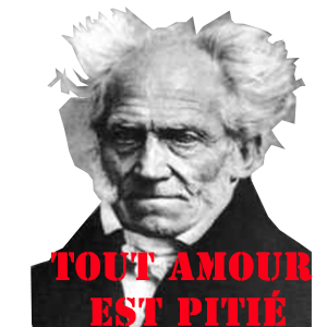 risitas pitie philosophe dialectique schopenhauer arthur avoir raison allemand tout amour est