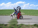route-moto-autoroute-gif-scooteur-main-permis-risitas