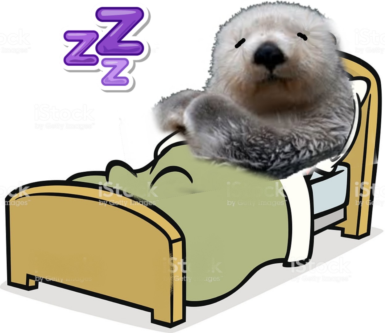dormir loutre lit