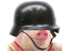 porc-other-allemand-cochon-ww2-casque