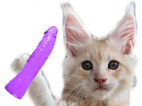 bite sexe chat godemichet cul other chatte oksana sexy chaton cochon