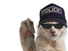 poulet-deux-signalgouv-chat-ddb-simple-flic-chatte-police-911-keuf-face-17-ban-chaton-sucres-oksana-other