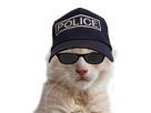 ddb-signalgouv-oksana-other-face-chat-keuf-chaton-chatte-17-flic-ban-poulet-simple-911-deux-police-sucres