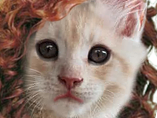 gonzesse fille sjw chaton simple kheyette oksana meuf femme feministe femen other chatte chat face