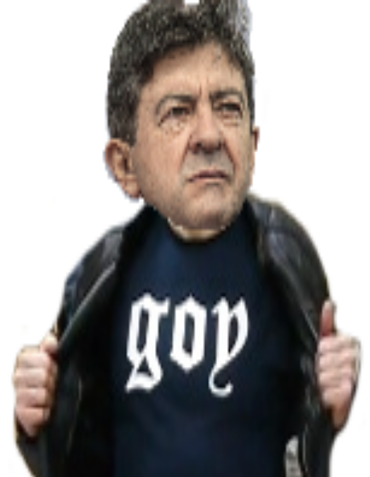 politic melenchon soral