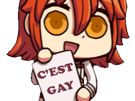 cest-kikoojap-pancarte-gay