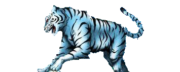 blanc risitas tigre saute bleu croc