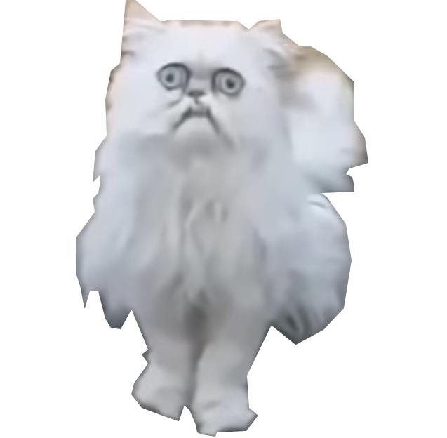 chat meme conjonctivite