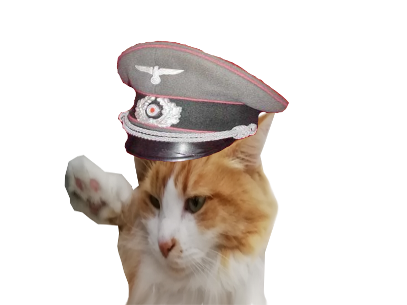 bwa chat bol issou eussou bois risitas