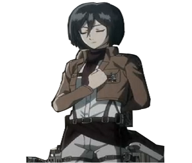 snk mikasa kikoojap salut