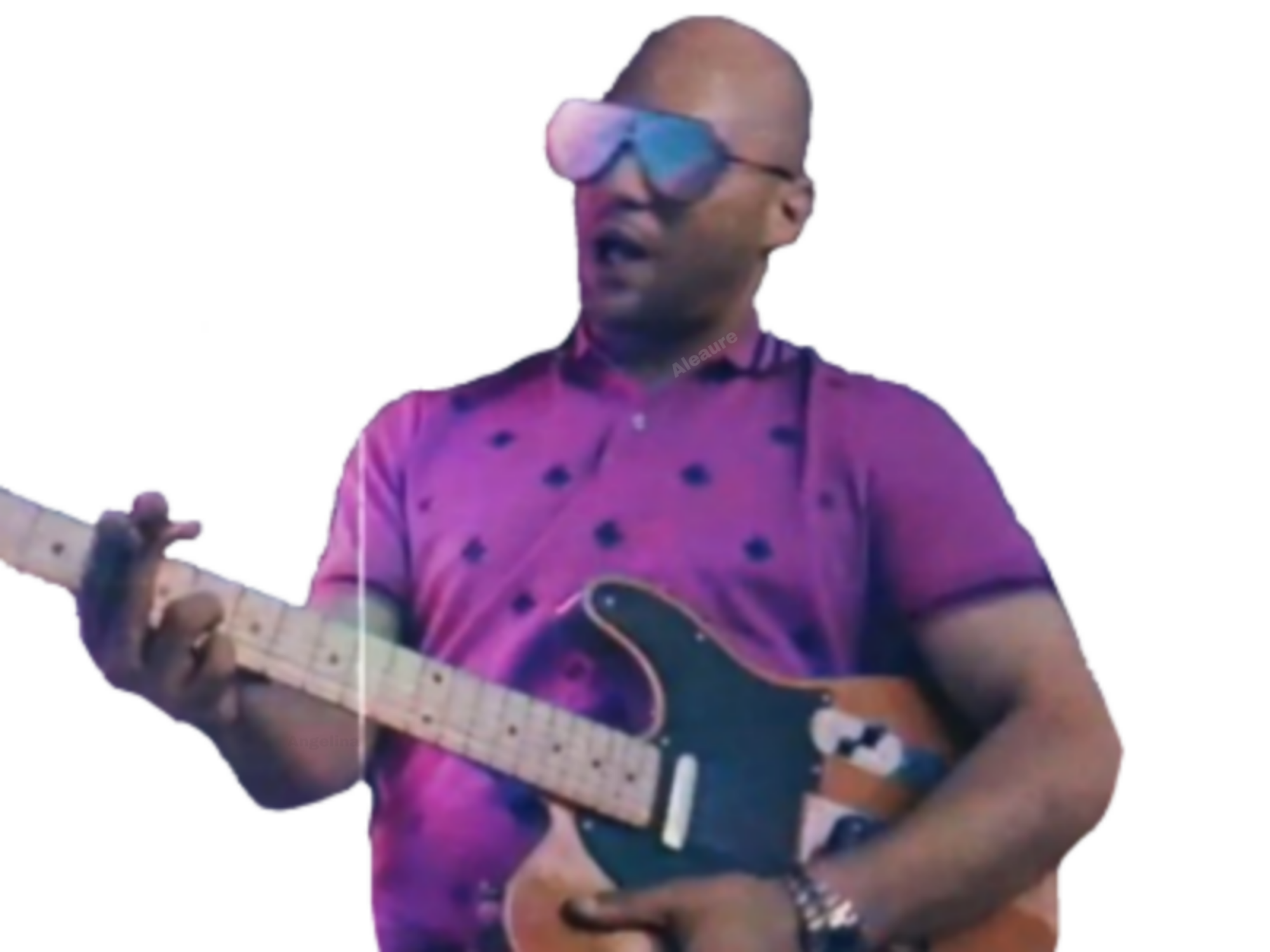 alkpote guitare pute