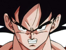 son-risitas-dragon-goku