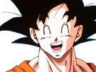 son-risitas-dragon-goku