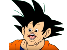 risitas-goku-son-dragon