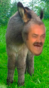 anissou issou ane risitas