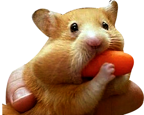 deepthroat gorge hamster carotte profonde