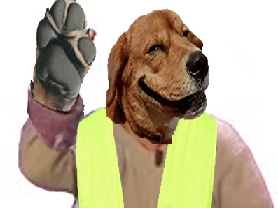gilet jaune risitas risidog