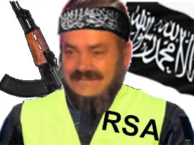 gj jaune castaner daesh gilet politic radicalise